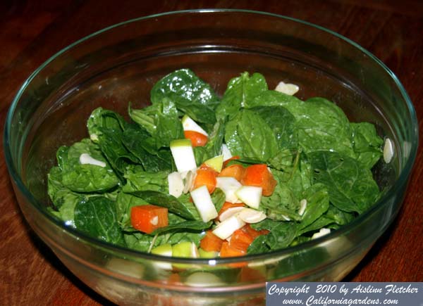 Fuyu Persimmon Spinach Salad