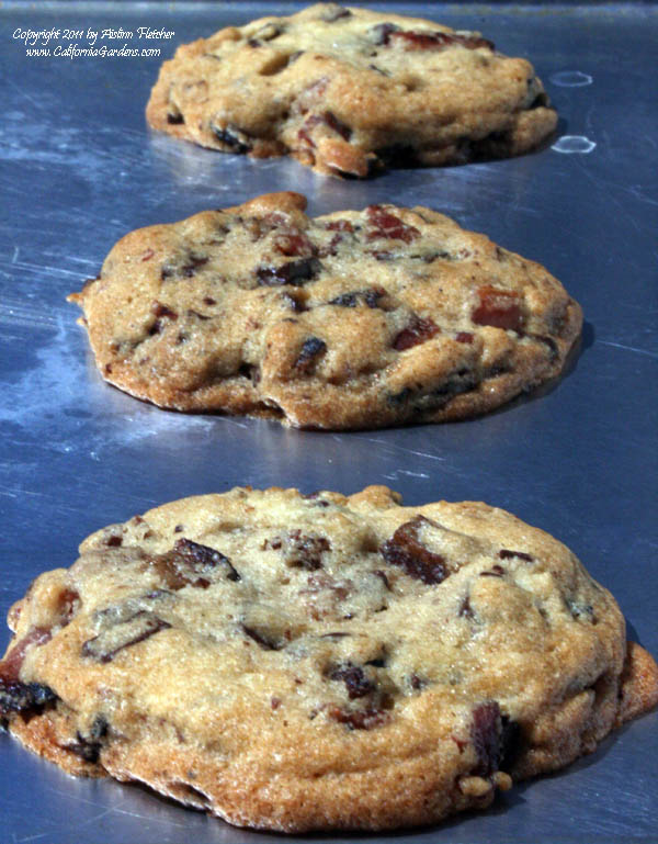 Bacon Chocolate Chip Cookies