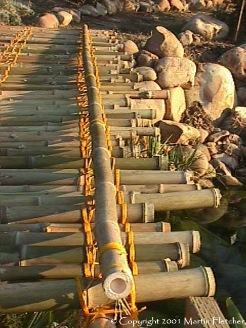 bamboo bridge