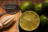 Bearss Lime