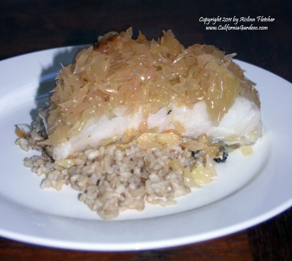 Pomelo Ginger Striped Bass