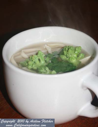 Romanesco Noodle Soup