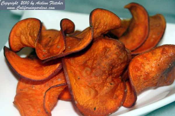 Sweet Potato Chips